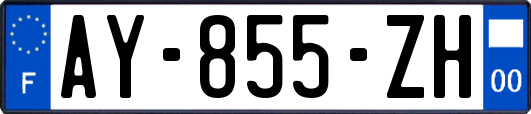 AY-855-ZH