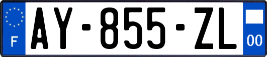 AY-855-ZL