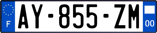 AY-855-ZM