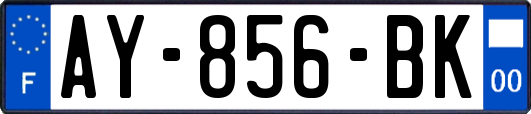 AY-856-BK