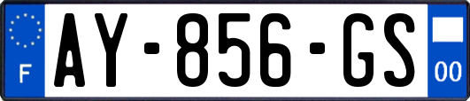 AY-856-GS
