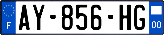 AY-856-HG
