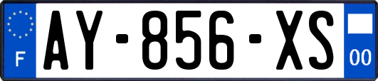 AY-856-XS