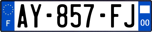AY-857-FJ