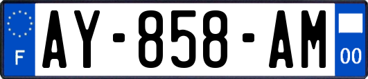 AY-858-AM