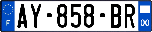AY-858-BR