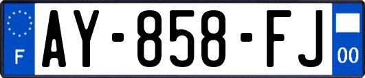 AY-858-FJ