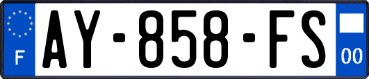 AY-858-FS