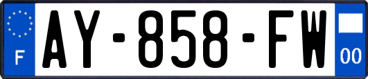 AY-858-FW