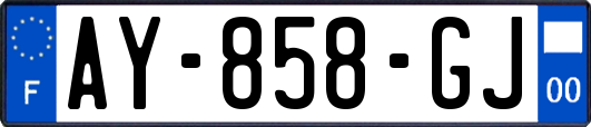AY-858-GJ