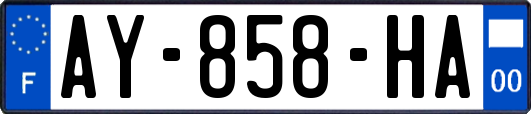 AY-858-HA