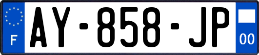 AY-858-JP