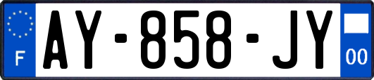 AY-858-JY