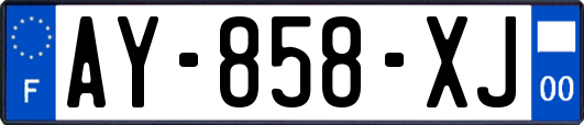 AY-858-XJ