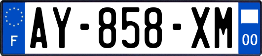 AY-858-XM