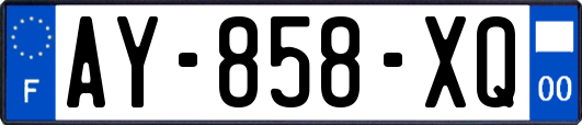 AY-858-XQ
