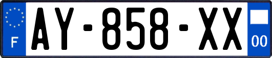 AY-858-XX