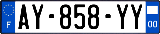 AY-858-YY
