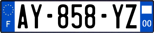 AY-858-YZ