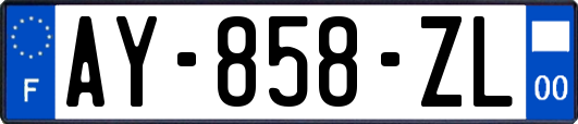 AY-858-ZL
