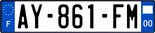 AY-861-FM