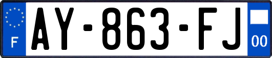 AY-863-FJ