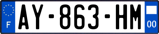 AY-863-HM