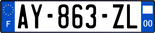 AY-863-ZL