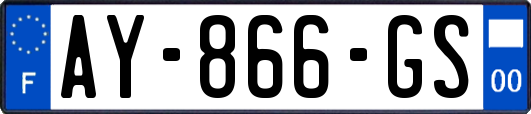 AY-866-GS