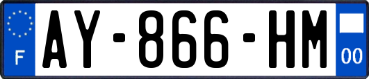 AY-866-HM