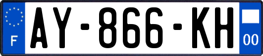 AY-866-KH