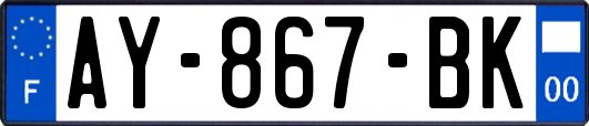 AY-867-BK