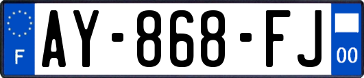 AY-868-FJ