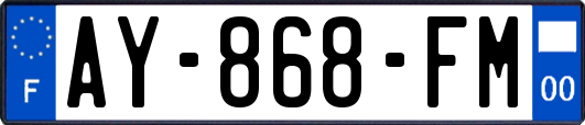 AY-868-FM