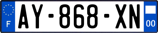 AY-868-XN