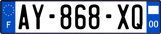 AY-868-XQ