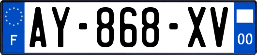 AY-868-XV
