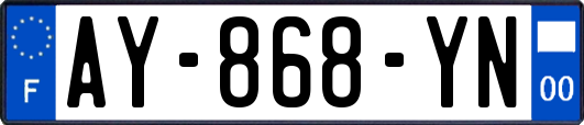AY-868-YN