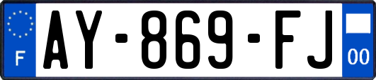 AY-869-FJ