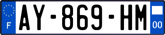 AY-869-HM