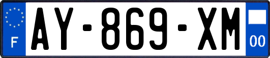AY-869-XM