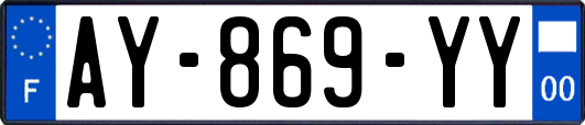AY-869-YY