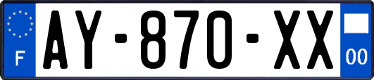 AY-870-XX