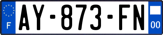 AY-873-FN