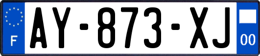 AY-873-XJ