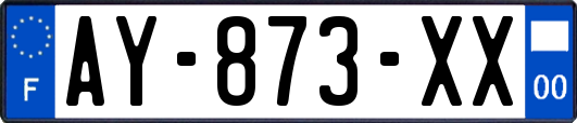 AY-873-XX