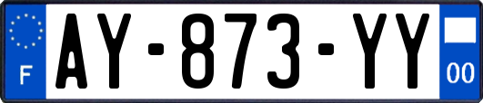 AY-873-YY