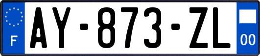 AY-873-ZL