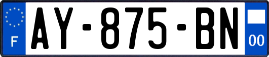 AY-875-BN