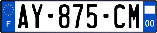 AY-875-CM